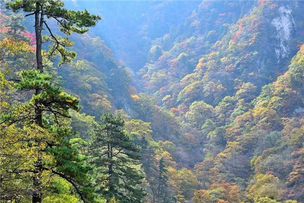 &#20061;&#28216;&#24179;&#21488;&#45;&#20061;&#28216;&#40;&#20013;&#22269;&#41;&#19968;&#31449;&#24335;&#26381;&#21153;&#24179;&#21488;